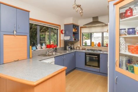 Photo of property in 19a Thomson Avenue, Dinsdale, Hamilton, 3204