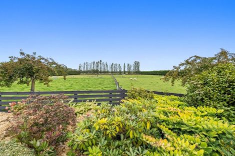 Photo of property in 156 Wakanui Road, Elgin, Ashburton, 7777