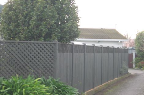 Photo of property in 8 Corwen Place, Mayfair, Hastings, 4122