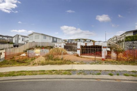 Photo of property in 58a John Burke Drive, Aotea, Porirua, 5024