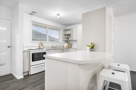 Photo of property in 161 Halswell Road, Hillmorton, Christchurch, 8025