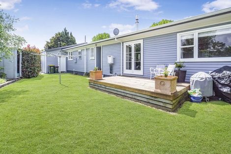 Photo of property in 22 Carlyle Avenue, Chartwell, Hamilton, 3210