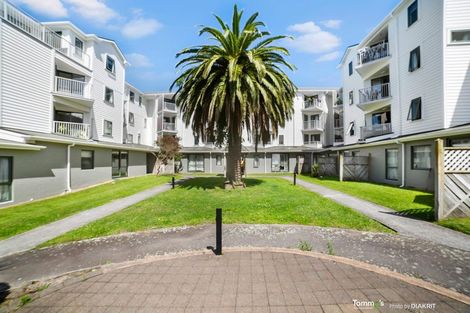 Photo of property in Palm Grove Apartments, 9/13c Palm Grove, Berhampore, Wellington, 6023