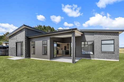 Photo of property in 111 Mclarin Road, Glenbrook, 2681