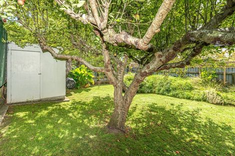 Photo of property in 6 Park Place, Whanganui, 4500