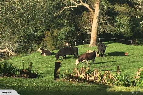 Photo of property in 121 Bolton Road, Morrinsville, 3371