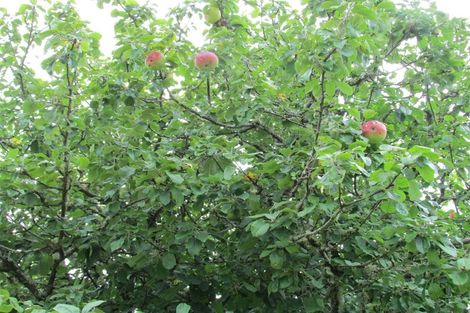 Photo of property in 45 Town Belt South, Blackball, 7804