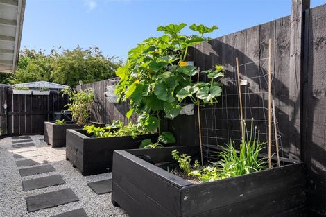 Photo of property in 38a Dunlop Road, Te Puke, 3119