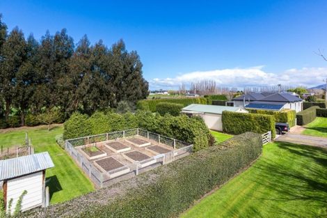 Photo of property in 524 Allanton Road, Outram, 9019