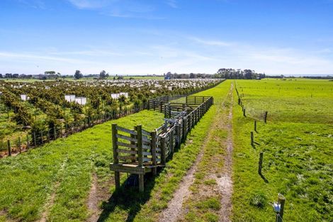 Photo of property in 50 Johnston Street, Brixton, Waitara, 4382