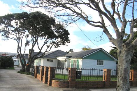 Photo of property in 77 Pretoria Street, Hutt Central, Lower Hutt, 5010