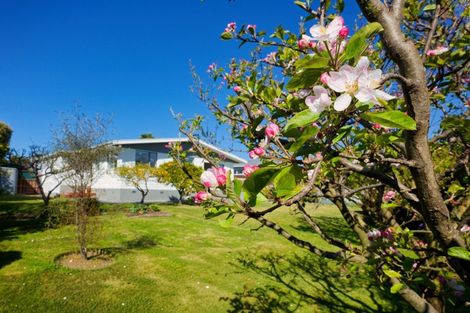 Photo of property in 26 Hastings Street, Kaikoura, 7300
