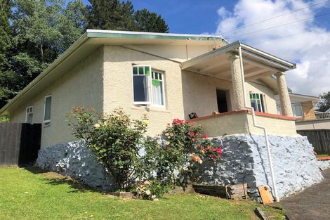 Photo of property in 6 Elizabeth Street, Te Kuiti, 3910