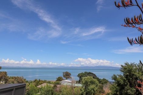 Photo of property in 16b Springfield Avenue, Ngarimu Bay, Thames, 3575
