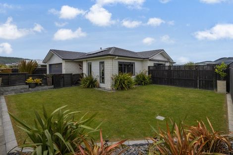Photo of property in 118 John Burke Drive, Aotea, Porirua, 5024