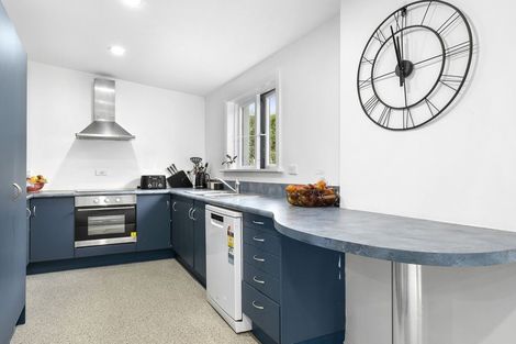 Photo of property in 8 Massey Avenue, Saint Clair, Dunedin, 9012