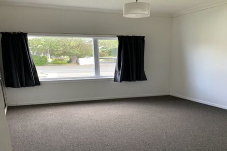 Photo of property in 224 Macandrew Road, Forbury, Dunedin, 9012