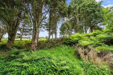 Photo of property in 362c Whananaki North Road, Opuawhanga, Hikurangi, 0181