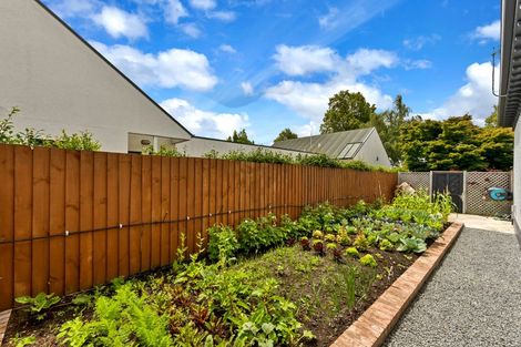 Photo of property in 47 Ayers Street, Rangiora, 7400