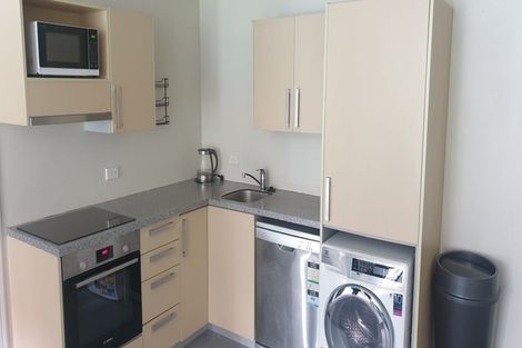 Photo of property in Dual Apartments, 110/142 Vivian Street, Te Aro, Wellington, 6011