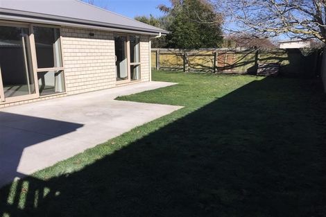 Photo of property in 117b Old Renwick Road, Springlands, Blenheim, 7201
