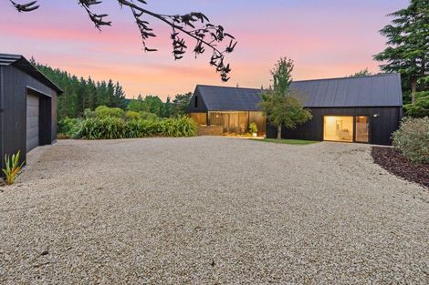 Photo of property in 258 Forestry Road, Ashley, Rangiora, 7477