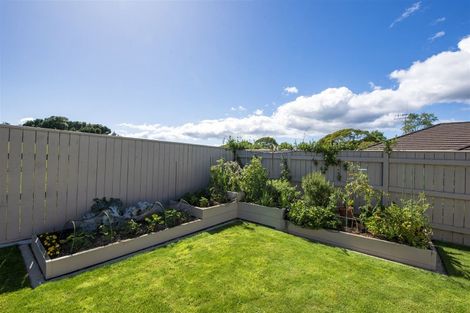 Photo of property in 40 Okarito Avenue, Levin, 5510