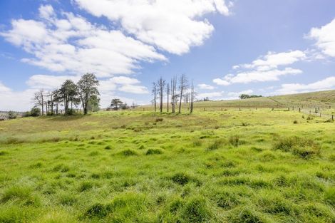 Photo of property in 175 Wayby Station Road, Wellsford, 0972