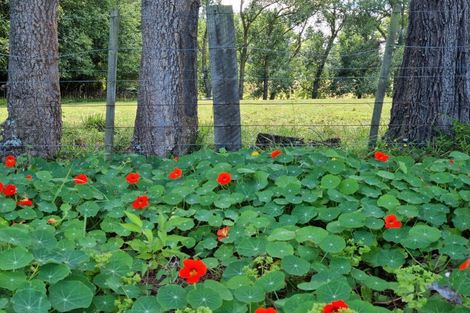 Photo of property in 72 Lindsay Road, Levin, 5510