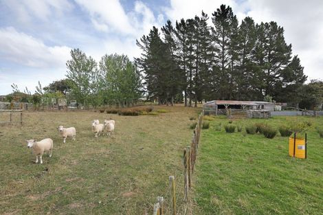 Photo of property in 45 Mill Street, Marton, 4710