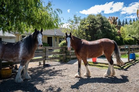Photo of property in 756 Poyntzs Road, Eyrewell, Rangiora, 7476