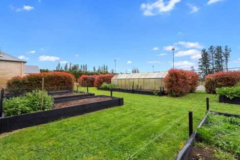 Photo of property in 199 Mount Thomas Road, Fernside, Rangiora, 7471