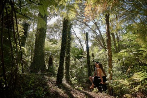 Photo of property in 125c Sailors Grave Road, Pumpkin Hill, Whitianga, 3591