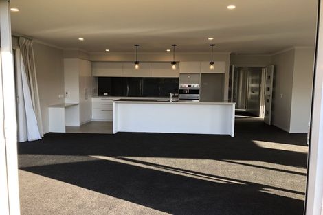 Photo of property in 3 Feijoa Way, Richmond, 7020