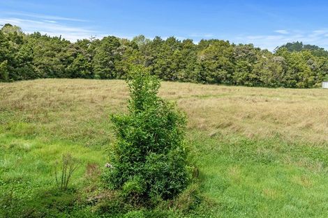 Photo of property in 821 Whangaripo Valley Road, Whangaripo, Wellsford, 0972