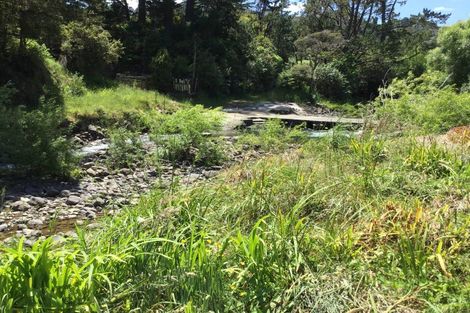 Photo of property in 162 Tapu Coroglen Road, Tapu, Thames, 3575