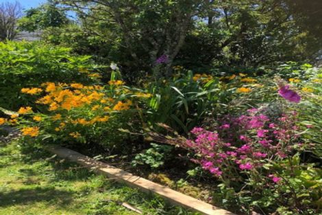 Photo of property in 23 Springs Junction, Springs Junction, Reefton, 7895