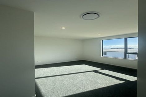 Photo of property in 13 Ridgehill Rise, Flat Bush, Auckland, 2019