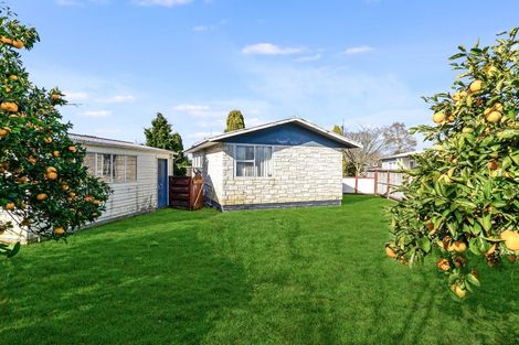 Photo of property in 45 Tongariro Street, Chartwell, Hamilton, 3210