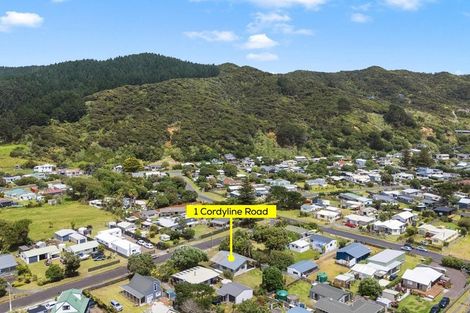 Photo of property in 1 Cordyline Road, Port Waikato, Tuakau, 2695
