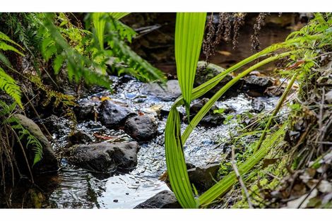 Photo of property in 127a Kapiro Road, Kerikeri, 0294