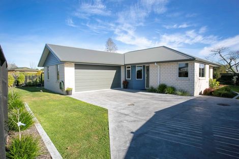 Photo of property in 35a Western Street, Matamata, 3400