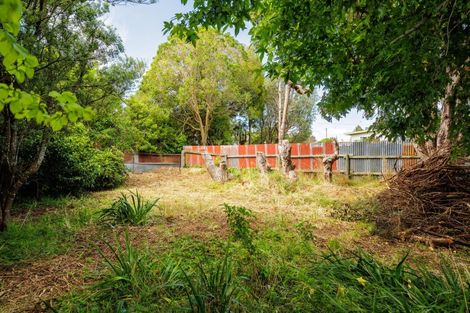 Photo of property in 9 Anderson Street, Eketahuna, 4900