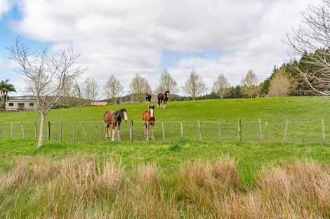 Photo of property in 255 Ararimu Valley Road, Helensville, Waimauku, 0882