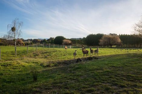 Photo of property in 71 Waiwhero Road, Lower Moutere, Upper Moutere, 7175