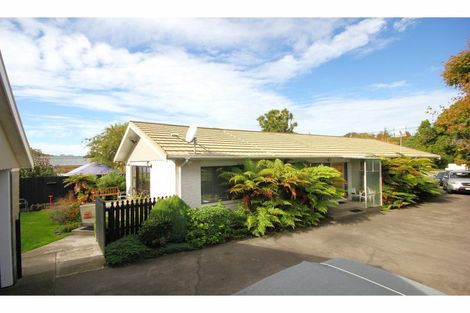 Photo of property in 155 Sparks Road, Hoon Hay, Christchurch, 8025