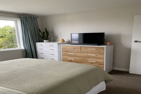 Photo of property in 162 The Ridgeway, Mornington, Wellington, 6021