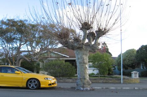 Photo of property in 54 Nelson Crescent, Napier South, Napier, 4110