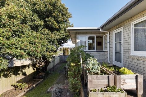 Photo of property in 10 Hilltop Road, Parkvale, Tauranga, 3112