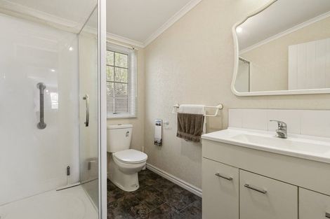 Photo of property in 202 Thompsons Track, Aongatete, 3178